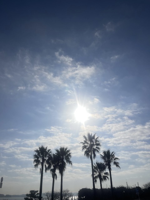 🏝江の島店　朝活トレーニング🏝